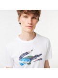 Lacoste Men's Cotton Jersey Sport T-shirt In White - TH1801-00-001