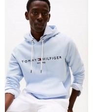 Tommy Hilfiger Logo Embroidery Hoody In Breezy Blue - MW0MW11599C1O