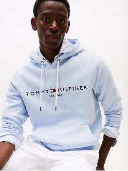 Tommy Hilfiger Logo Embroidery Hoody In Breezy Blue - MW0MW11599C1O